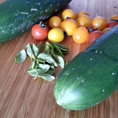 récolte de concombres et de quelques tomates cerises (jardin partagé)