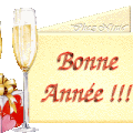 BONNE ANNEE 2009