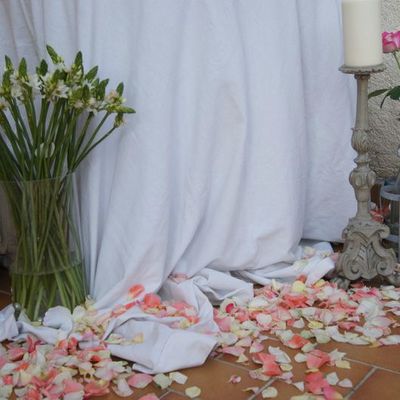 LA SUITE EN IMAGES....