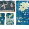 Quelques cyanotypes réalisés par les enfants