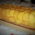 Bûche pomme tatin