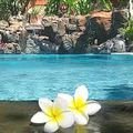 Bonnes Astuce Pour Vos Vacances à l'île Bali
