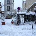 Jardin sous la neige !