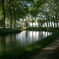 Paisible Canal du Midi