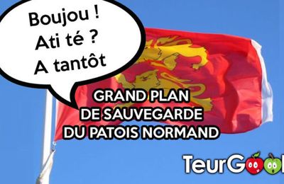 Enseignement de la langue normande: le verrou jacobin de l'Education Nationale va-t-il sauter?