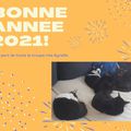 Bonne année 2021!