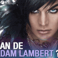 Concours Adam Lambert