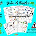 Les couleurs "le caméléon"