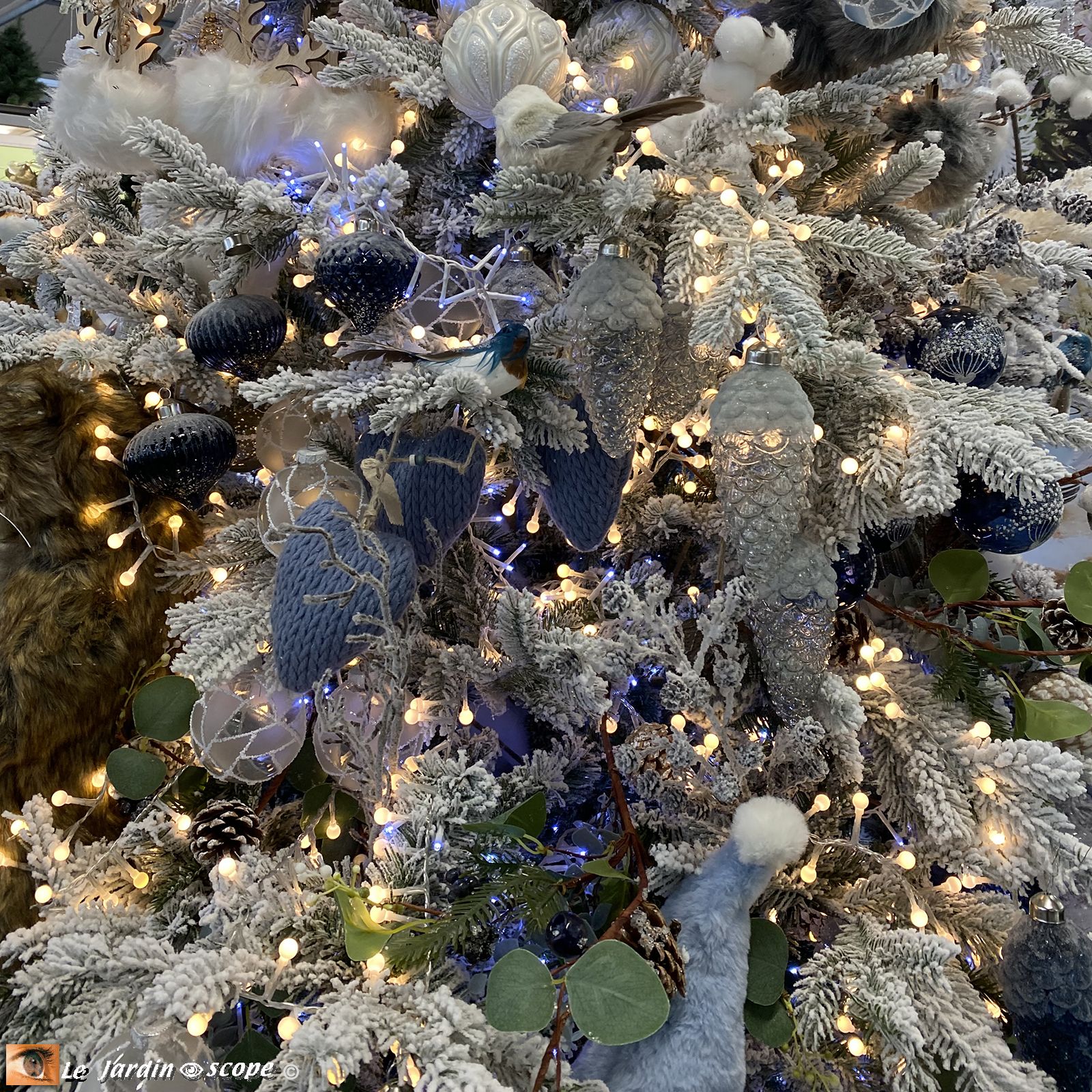 Noël