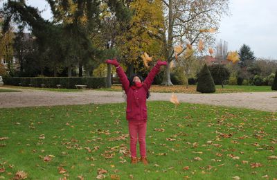 Une envolée de feuilles