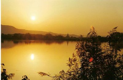 Les bords du Rhône Caderousse