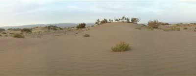 Le Maroc... de Zagora à Foum Takat