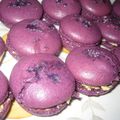 Macarons ronds