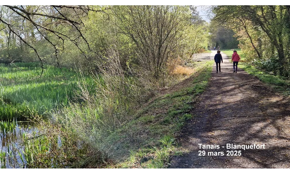 29 mars : Marche rapide - 6/6,5 km