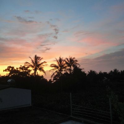 Tout est bon chez les Asisiw, les pailles!