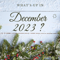 What's up in December 2023 ? 
