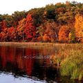 L'AUTOMNE S'EN VIENT...