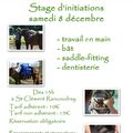 Stage d'initiations samedi 8 décembre