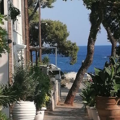 Vu d'ici Vu d'ailleurs # Alonissos 