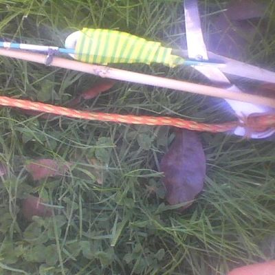 The Great Shoe-Picking Adventure