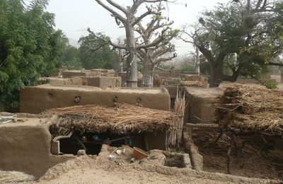 Pays Dogon: de Ende à Teli et fin Pays Dogon