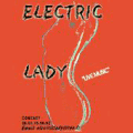 ELECTRIC LADY // Vendredi 5 novembre 2010