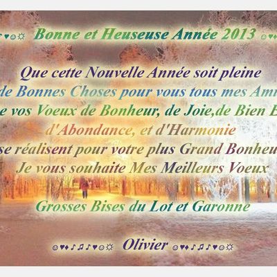 MES MEILLEURS VOEUX POUR 2013