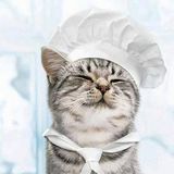 le blog de chantal76