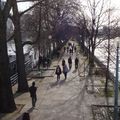 Allée des Cygnes