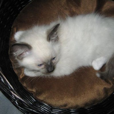 7 semaines et demi !