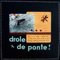 Drôle de ponte !