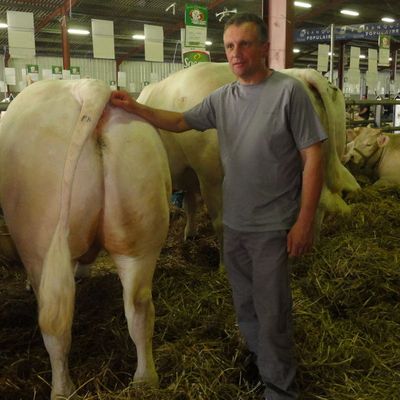 Le concours d’animaux de boucherie de Montluçon 2008 2009 2010 2011