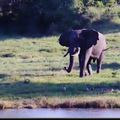 EN PLEIN COEUR DE L'AFRIQUE !