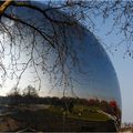 Un arbre dans la ville