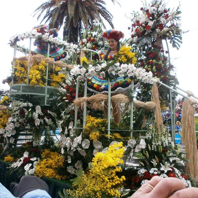 encore quelques photos du Corso et de la fête des agrumes de Menton