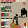 carcassonne 2013 : feria du novillo