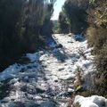 Tongariro National Park / Wellington