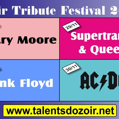 Tribute Festival d'Ozoir 2024 : c'est parti !