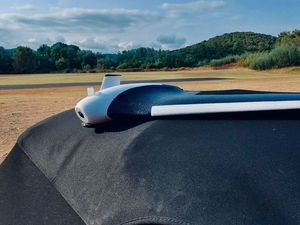 LIONEL ET SON PARROT DISCO.