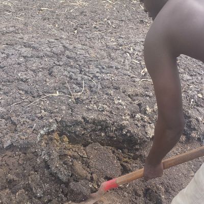 angrais utilisé pour les diférentes plantations 