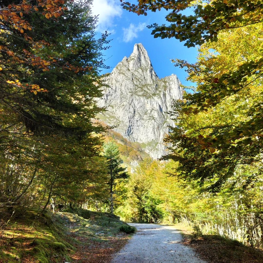 Lecun, plateau de Sanchèse, en chemin, insta (64)