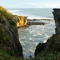 Road trip, west coast île du sud : Punakaiki