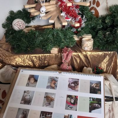 Calendrier aux enchères