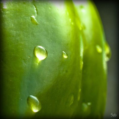 Les couleurs du goût #01