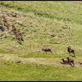 Belles rencontres de printemps