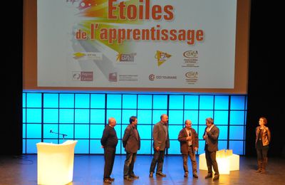 Les Etoiles de l'Apprentissage : une soirée 100 % anti-morosité !