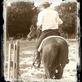 Concours western du 29 juin 2014