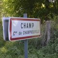 émerveillement  en campagne! 