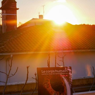 ✨ CHRONIQUE ✨ Le corps humain comme vous ne l'avez jamais vu