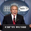 "Bush" !!
